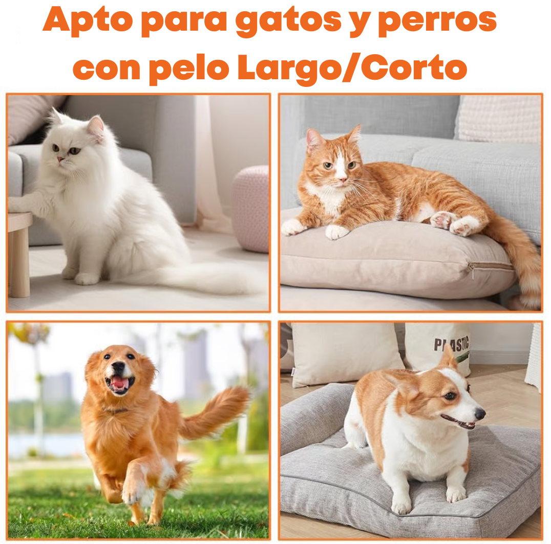 VaporPet™ 2x1 - Adiós Pelos y Enredos Para Siempre