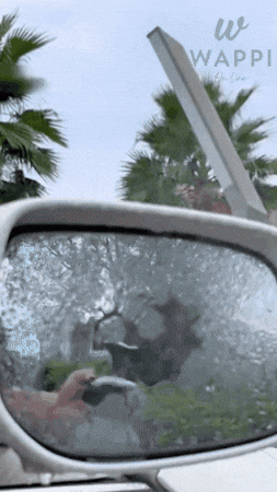 ClearShield Pro — Visibilidad y Brillo Total para tu Auto